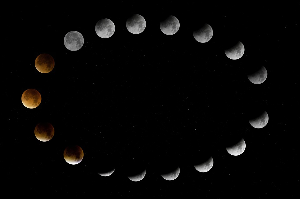 Catching the Moon’s Rhythm: Tips for Fishing in Harmony with Lunar Cycles