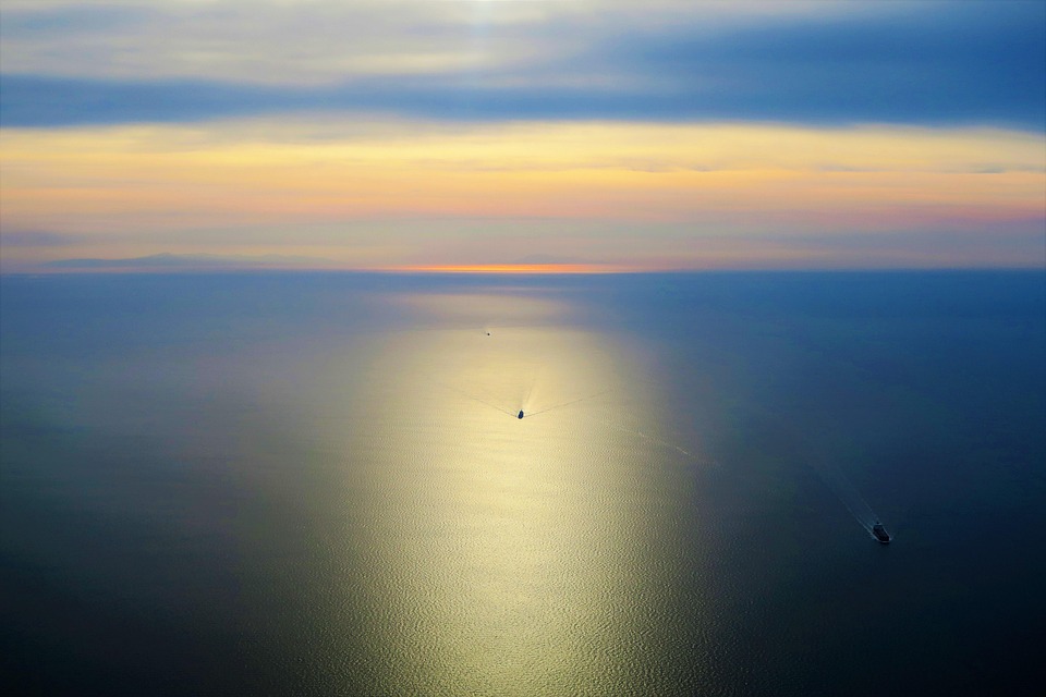 Oracle Cards vs Tarot: A Guide to Choosing the Best Tool for Your Intuition