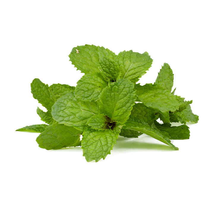 The Trauma Epidemic: Raising Awareness and Promoting Support