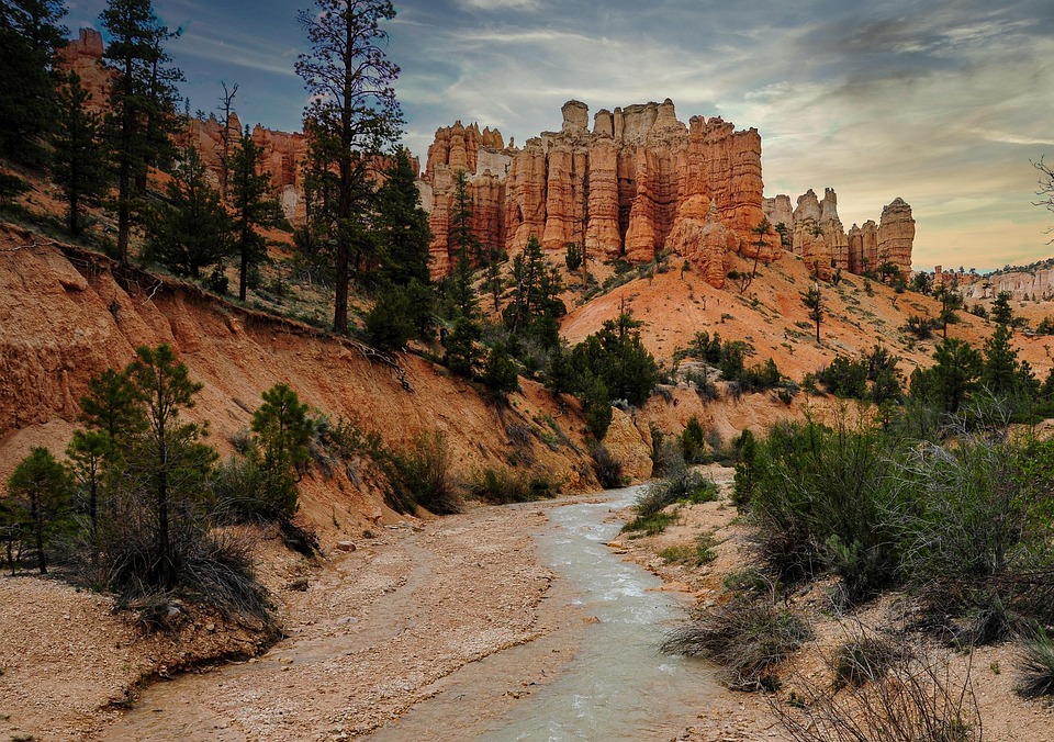 The Rise of Oracle Cards: Why They’re Becoming a Popular Alternative to Tarot