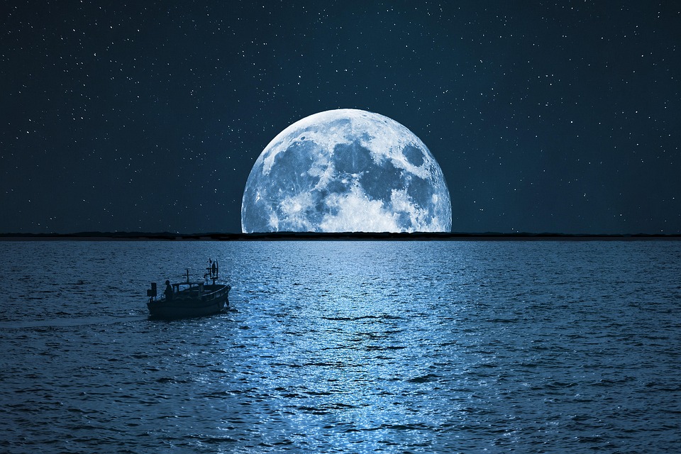 Fishing by the Light of the Moon: How Phases Affect Fish Activity