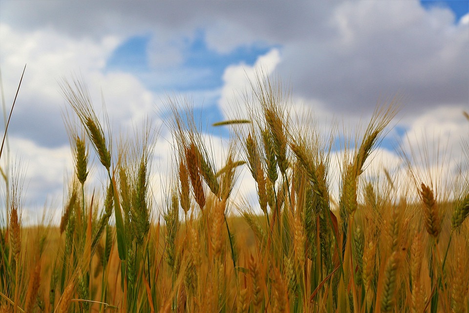 Virgo, You’re on the Right Track: Stay Focused and Achieve Your Goals