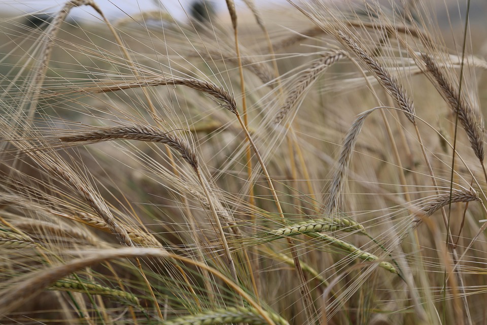 Virgo’s Secret to Success: Harnessing the Power of Meticulous Planning